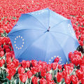 Támogatják az EU-tagországok a magyar elnökség gazdasági programját