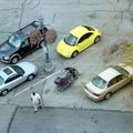 Quadok és mopedek – Április 1-től kötelező rendszám a közutakon