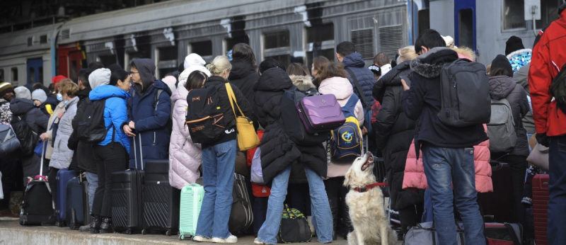 Hazánk a munkáltatóknak nyújtott támogatással segíti az ukrán menekültek foglalkoztatását – Hatályban a kormányrendelet!