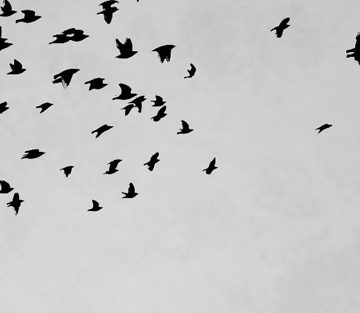 Élethez való jog vs. halállal büntetés – A halálbüntetés elleni harc világnapjának margójára