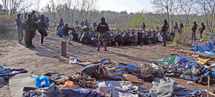 Illegális bevándorlók tűzharca Horgoson – Több mint 600 személyt vett őrizetbe a szerb rendőrség, helikopterek is részt vettek az akcióban – VIDEÓVAL!
