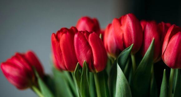 Nők: zavaros források, melyekből aranyat mostam, igazi aranyat – A Legfőbb Ügyészség nőnapi, szívet melengető kisfilmje