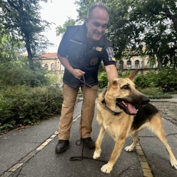 Szolgálati kutyák és lovak – az állatvédelem szerepe a bűnmegelőzésben – A különleges hiánypótló kurzus az állatvédelmi képzésben!