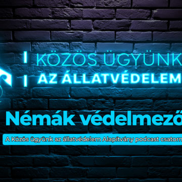 Némák védelmezői – Illegális szaporítótelepek, tiltott kutyaviadalok és a rajtaütések kulisszatitkai – Debütált a Közös ügyünk az állatvédelem Alapítvány új podcastja – ITT megtekinthető!