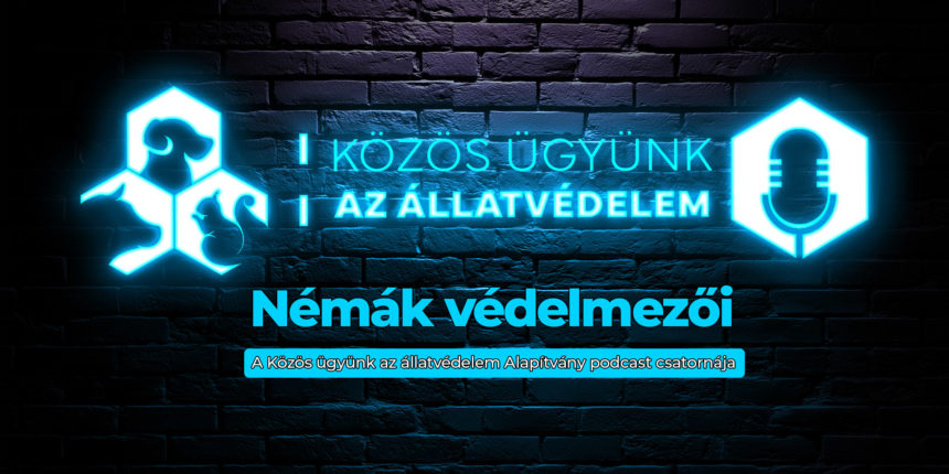 Némák védelmezői – Illegális szaporítótelepek, tiltott kutyaviadalok és a rajtaütések kulisszatitkai – Debütált a Közös ügyünk az állatvédelem Alapítvány új podcastja – ITT megtekinthető!