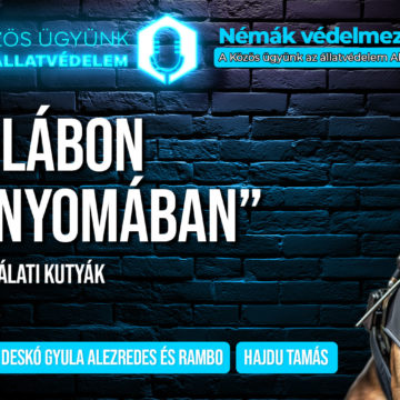 Négy lábon a bűn nyomában – A szolgálati kutyák lenyűgöző világa – A Némák védelmezői podcastjának legújabb epizódja ITT megtekinthető!