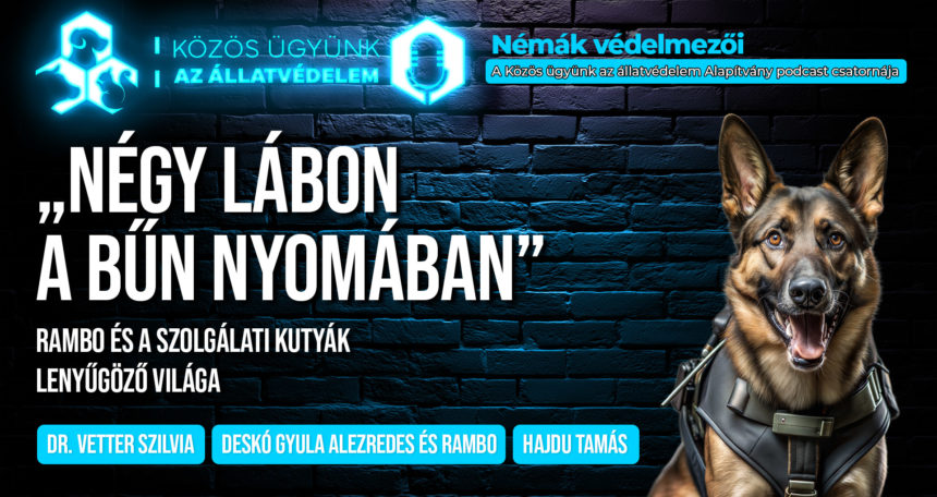 Négy lábon a bűn nyomában – A szolgálati kutyák lenyűgöző világa – A Némák védelmezői podcastjának legújabb epizódja ITT megtekinthető!