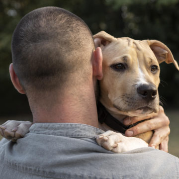 Második esély – Mentett kutyák kerülnek állatvédelmi és reintegrációs céllal a bv-intézetekbe – A márciussal induló program az ember és állat közötti kapcsolat gyógyító erejére épít Második esély – Mentett kutyák kerülnek állatvédelmi és reintegrációs céllal a bv-intézetekbe – A márciussal induló program az ember és állat közötti kapcsolat gyógyító erejére épít