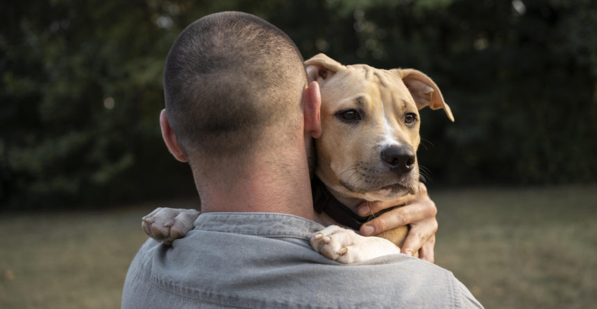 Második esély – Mentett kutyák kerülnek állatvédelmi és reintegrációs céllal a bv-intézetekbe – A márciussal induló program az ember és állat közötti kapcsolat gyógyító erejére épít Második esély – Mentett kutyák kerülnek állatvédelmi és reintegrációs céllal a bv-intézetekbe – A márciussal induló program az ember és állat közötti kapcsolat gyógyító erejére épít