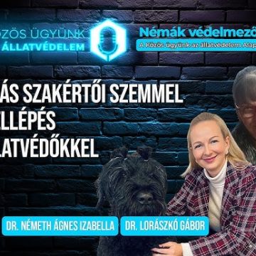 Küzdelem az állatkínzás ellenében – igazságügyi állatorvos szakértő és állatvédelmi szakjogász szemmel – A Némák védelmezői podcast legújabb epizódja ITT meghallgatható! Küzdelem az állatkínzás ellenében – igazságügyi állatorvos szakértő és állatvédelmi szakjogász szemmel – A Némák védelmezői podcast legújabb epizódja ITT meghallgatható!