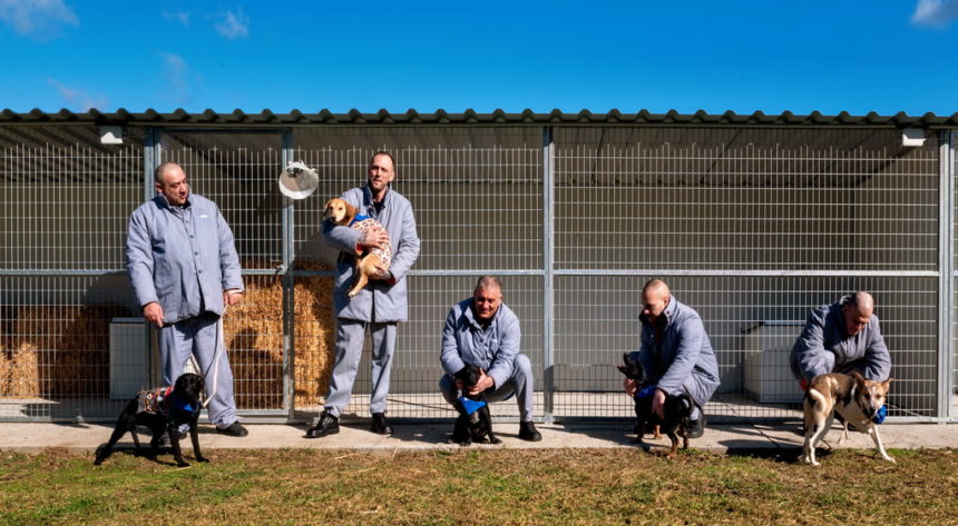 Megérkeztek az első mentett kutyák a veszprémi büntetés-végrehajtási intézetbe – Elindult a Második esély program a gyakorlatban!